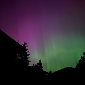 Meet your Posher, Robbi